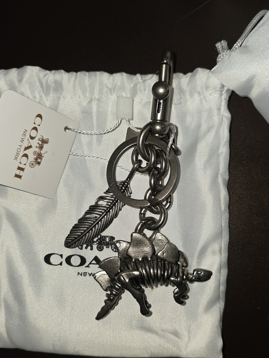 Coach Accessories - COACH Steggy The Dinosaur Bag Charm/ Key Chain NWT